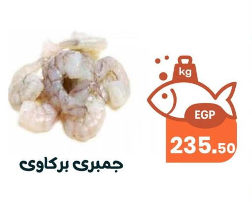 available at Arafa Market in Egypt - Cairo