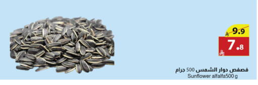 Alfalfa available at Abyati Stores in KSA, Saudi Arabia, Saudi - Tabuk
