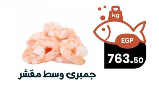 available at Arafa Market in Egypt - Cairo