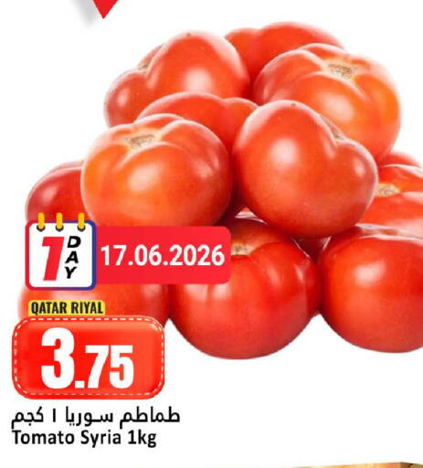 Tomato from Qatar Syria available at دانة هايبرماركت in قطر - الريان