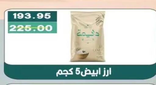available at Bashayer hypermarket in Egypt - Cairo