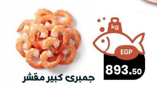 available at Arafa Market in Egypt - Cairo