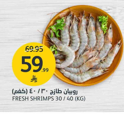 available at AlJazera Shopping Center in KSA, Saudi Arabia, Saudi - Riyadh