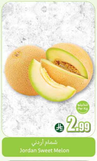 Melon from Jordan available at Othaim Markets in KSA, Saudi Arabia, Saudi - Al-Kharj