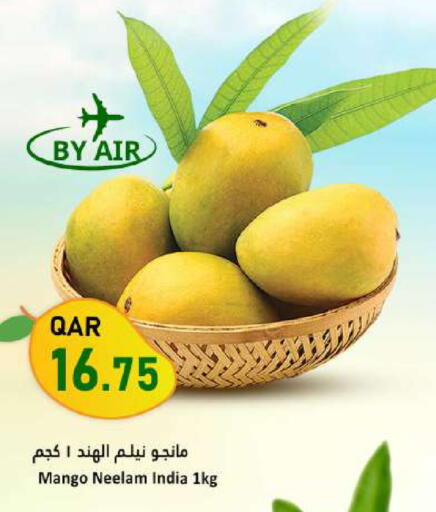 Mango from India available at Dana Market in Qatar - Doha