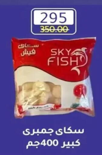 available at Wekalet Elmansoura - Dakahlia  in Egypt - Cairo