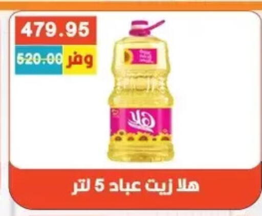 available at Bashayer hypermarket in Egypt - Cairo
