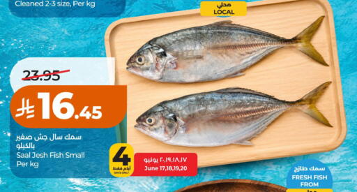 available at لولو هايبرماركت in مملكة العربية السعودية, السعودية, سعودية - حائل‎