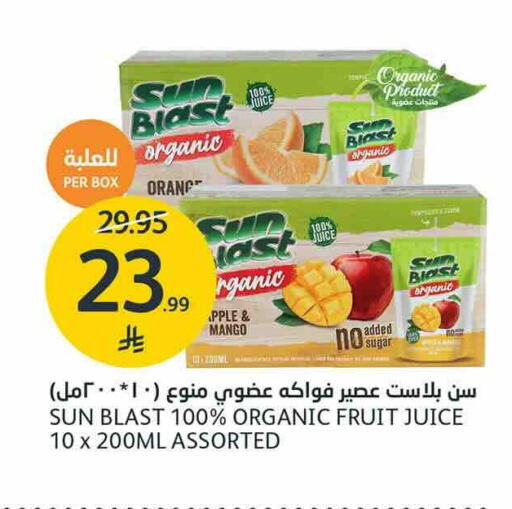 Mango available at AlJazera Shopping Center in KSA, Saudi Arabia, Saudi - Riyadh