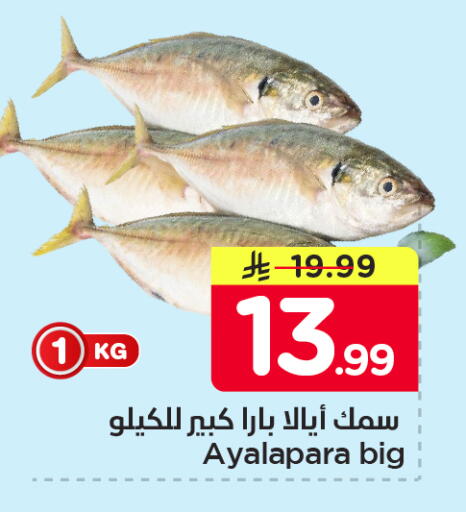 available at Nesto in KSA, Saudi Arabia, Saudi - Al Khobar