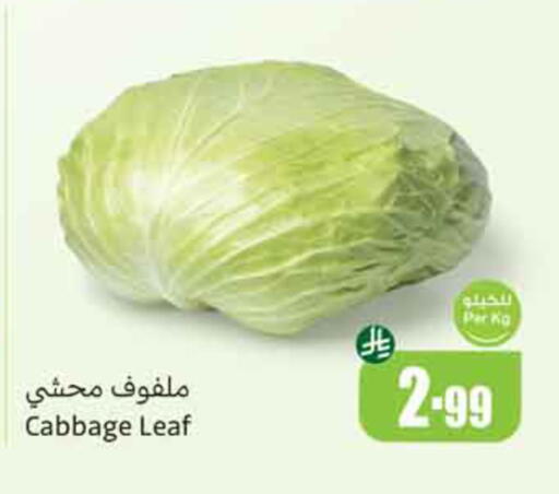 Cabbage available at أسواق عبد الله العثيم in مملكة العربية السعودية, السعودية, سعودية - نجران