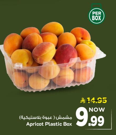 Apricot available at مارك & سيف in مملكة العربية السعودية, السعودية, سعودية - الخبر‎