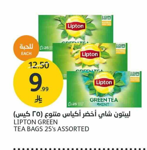 Mint available at AlJazera Shopping Center in KSA, Saudi Arabia, Saudi - Riyadh