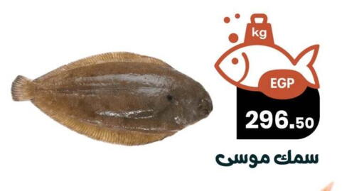 available at Arafa Market in Egypt - Cairo