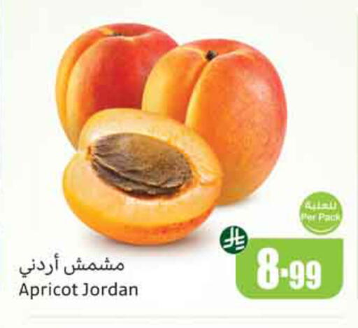Apricot from Jordan available at Othaim Markets in KSA, Saudi Arabia, Saudi - Al-Kharj