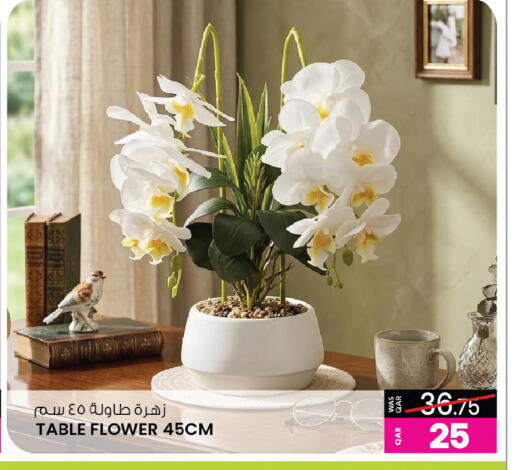 available at أنصار جاليري in قطر - الوكرة