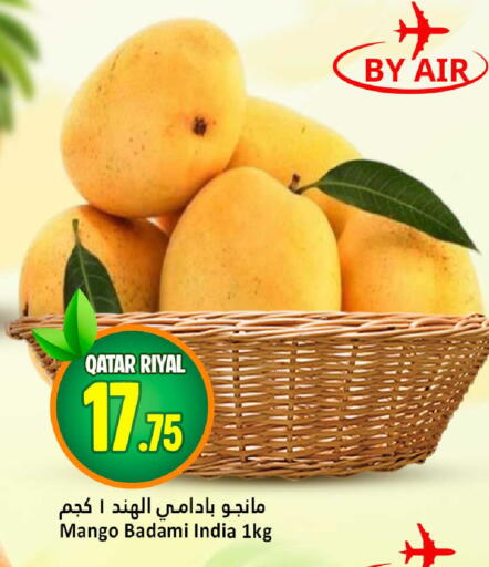Mango from Qatar India available at دانة هايبرماركت in قطر - الدوحة