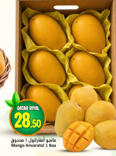 Mango from Qatar available at دانة هايبرماركت in قطر - الدوحة