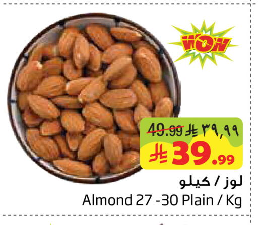 available at Layan Hyper in KSA, Saudi Arabia, Saudi - Dammam