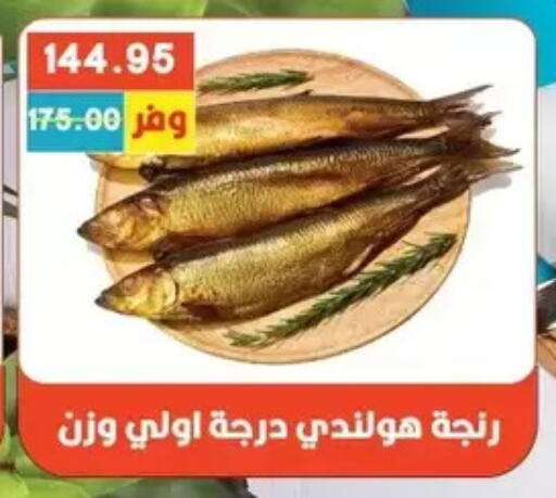 available at بشاير هايبرماركت in Egypt - القاهرة