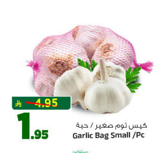 Garlic available at المدينة هايبرماركت in مملكة العربية السعودية, السعودية, سعودية - الرياض