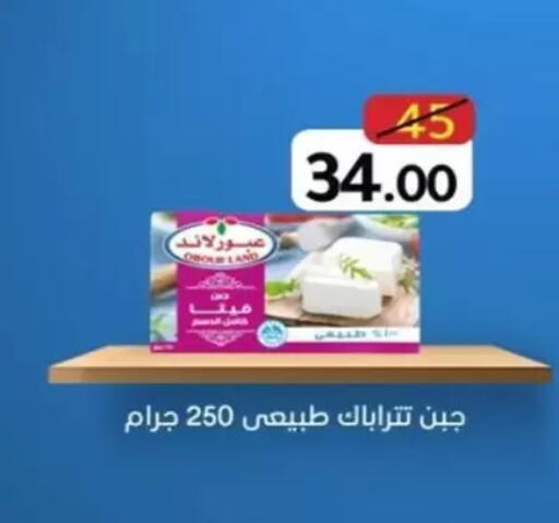 available at وكالة المنصورة - الدقهلية‎ in Egypt - القاهرة