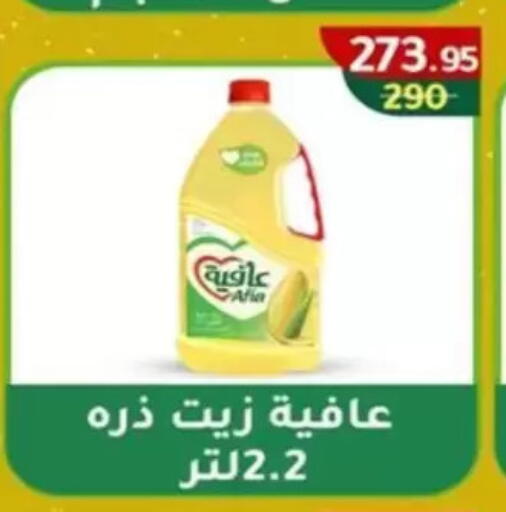 available at Wekalet Elmansoura - Dakahlia  in Egypt - Cairo