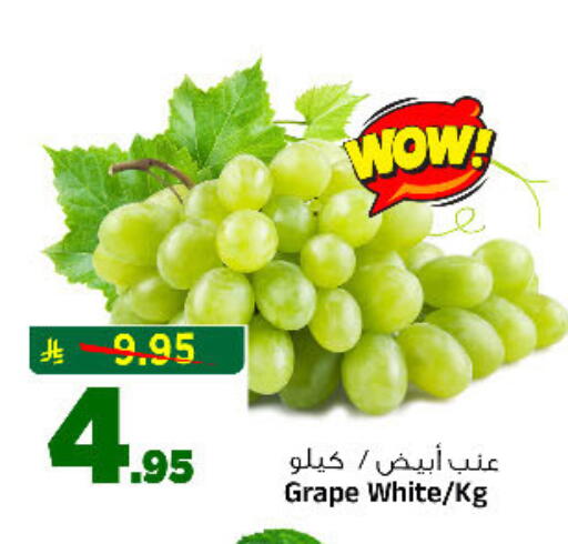 available at المدينة هايبرماركت in مملكة العربية السعودية, السعودية, سعودية - الرياض