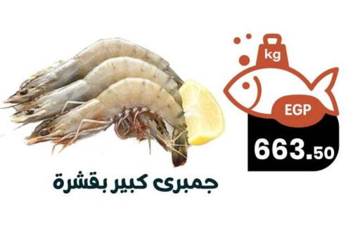 available at Arafa Market in Egypt - Cairo