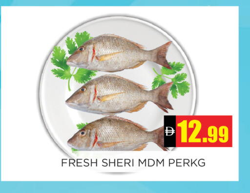available at اينس المدينة هايبرماركت in الإمارات العربية المتحدة , الامارات - الشارقة / عجمان