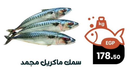 available at Arafa Market in Egypt - Cairo