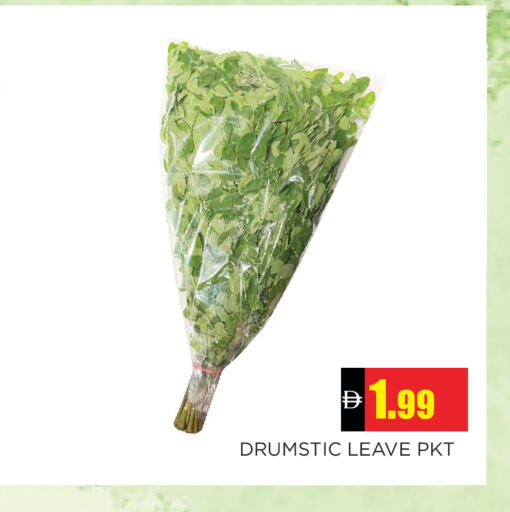 available at اينس المدينة هايبرماركت in الإمارات العربية المتحدة , الامارات - الشارقة / عجمان