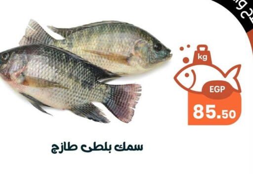 available at Arafa Market in Egypt - Cairo
