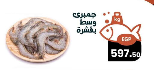 available at Arafa Market in Egypt - Cairo
