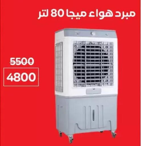 available at Wekalet Elmansoura - Dakahlia  in Egypt - Cairo