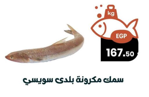 available at Arafa Market in Egypt - Cairo