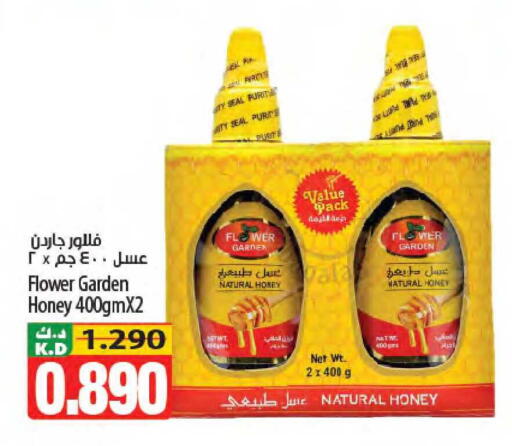 Mango available at Mango Hypermarket  in Kuwait - Kuwait City
