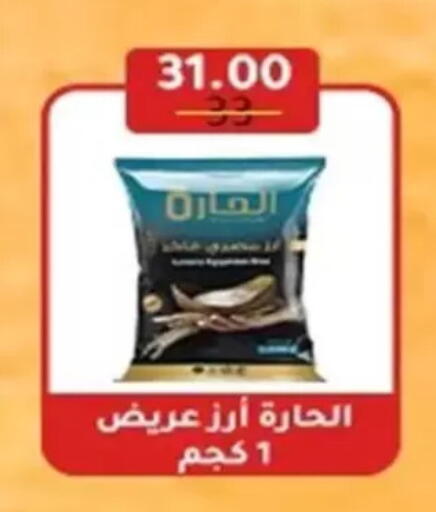available at Wekalet Elmansoura - Dakahlia  in Egypt - Cairo