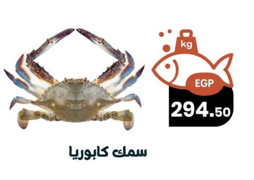 available at Arafa Market in Egypt - Cairo