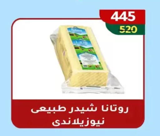 available at Wekalet Elmansoura - Dakahlia  in Egypt - Cairo
