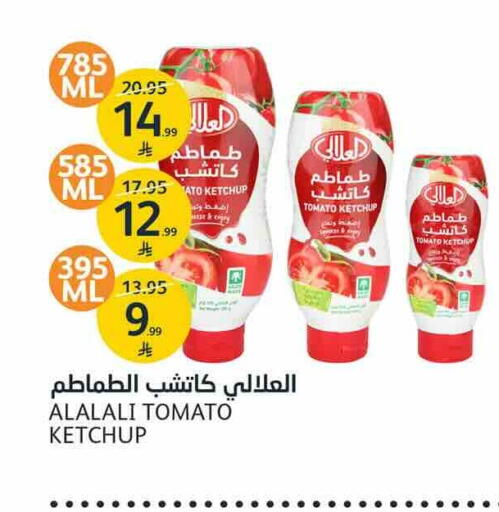 Tomato available at AlJazera Shopping Center in KSA, Saudi Arabia, Saudi - Riyadh