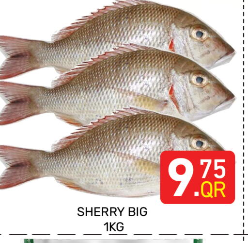 available at Majlis Hypermarket in Qatar - Doha