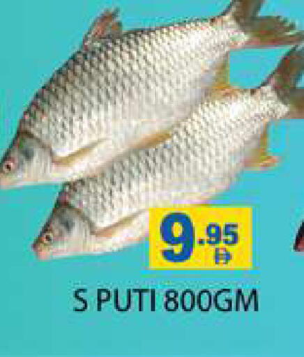 available at Zain Mart Supermarket in UAE - Ras al Khaimah