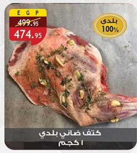 available at Al Rayah Market   in Egypt - Cairo