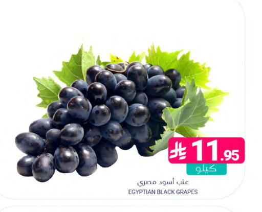 Grapes from Egypt available at Muntazah Markets in KSA, Saudi Arabia, Saudi - Dammam