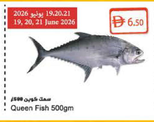 available at المايا سوبرماركت in الإمارات العربية المتحدة , الامارات - الشارقة / عجمان