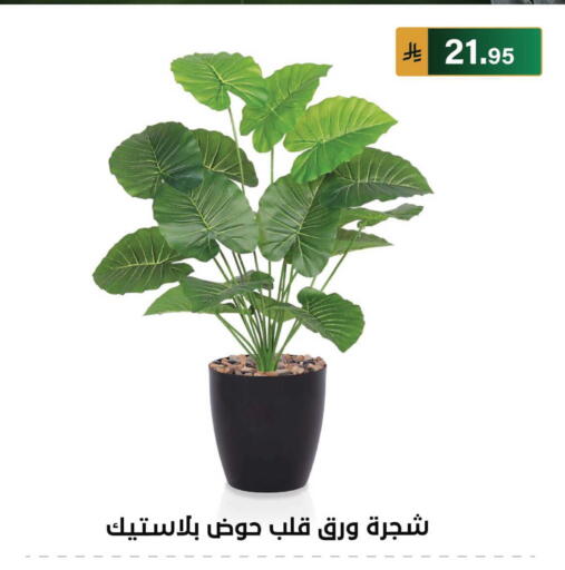 available at الحسين توب أب in مملكة العربية السعودية, السعودية, سعودية - الرياض