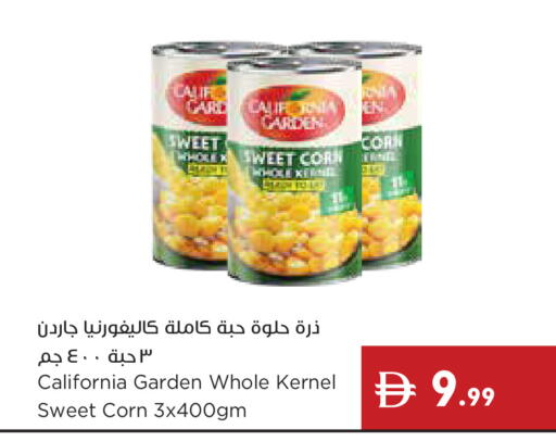 available at إسطنبول سوبرماركت in الإمارات العربية المتحدة , الامارات - أبو ظبي