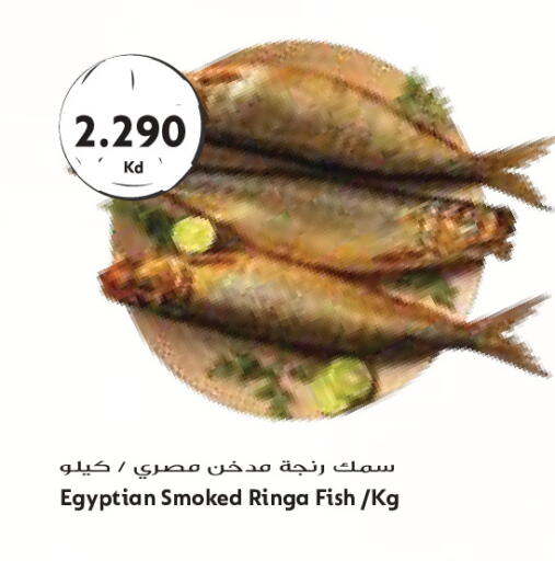available at Grand Costo in Kuwait - Kuwait City