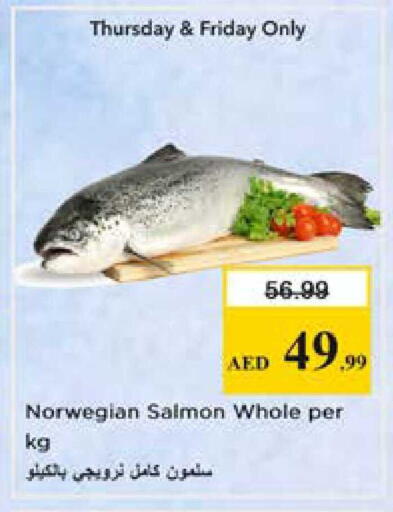 available at نستو هايبرماركت in الإمارات العربية المتحدة , الامارات - الشارقة / عجمان